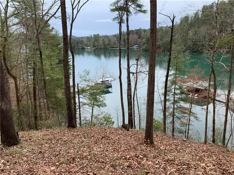 408 Ginseng Dr, Sunset, SC 29685 photo 3