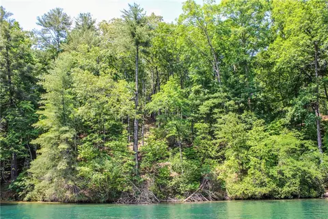 408 Ginseng Dr, Sunset, SC 29685 photo 12