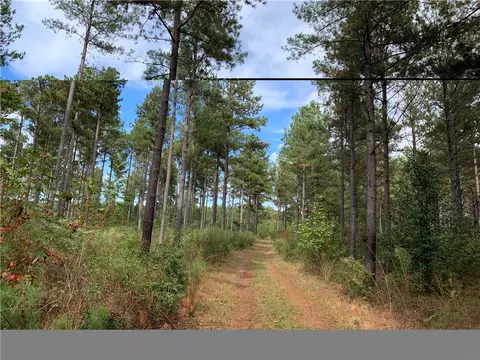9781 Augusta Rd, Pelzer, SC 29669 photo 6