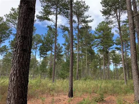 9781 Augusta Rd, Pelzer, SC 29669 photo 3