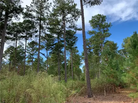 9781 Augusta Rd, Pelzer, SC 29669 photo 7