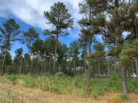 9781 Augusta Rd, Pelzer, SC 29669 photo 2