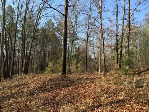 518 Ginseng Dr, Sunset, SC 29685 photo 7