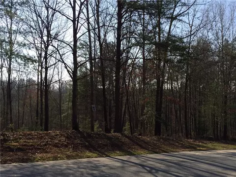 518 Ginseng Dr, Sunset, SC 29685 photo 8