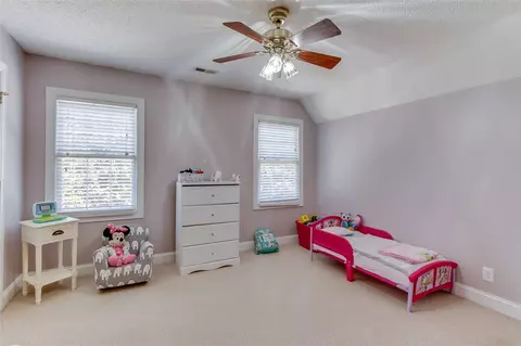 203 Watson Rd, Easley, SC 29642 photo 30