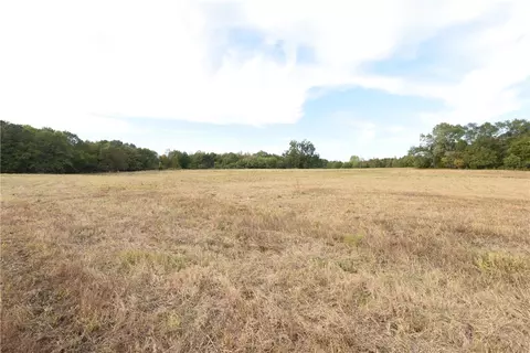 7500 Highway 252, Honea Path, SC 29654 photo 3