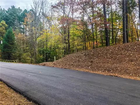 222 Saranac Dr, Sunset, SC 29685 photo 6