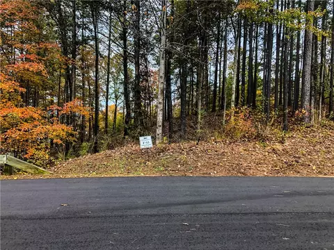 222 Saranac Dr, Sunset, SC 29685 photo 7