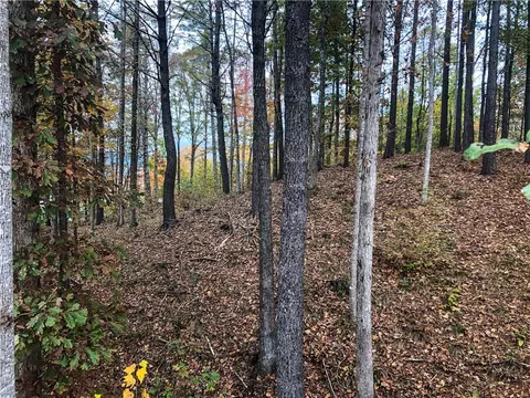 222 Saranac Dr, Sunset, SC 29685 photo 9