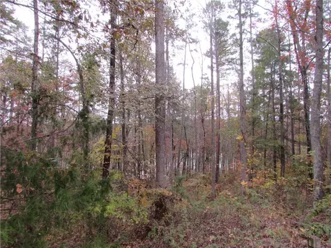 507 High Hammock Dr, Seneca, SC 29672 photo 5