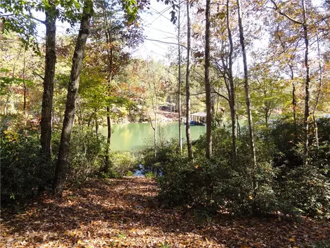 274 Long Ridge Rd, Sunset, SC 29685 photo 8