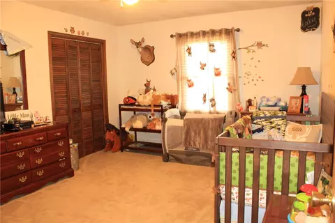 114 Nellie Dr, Pendleton, SC 29670 photo 14