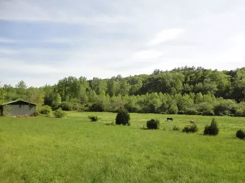 871 E Preston Mcdaniel Rd, Pickens, SC 29671 photo 2