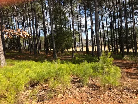 113 Steele Ct, Sunset, SC 29685 photo 15
