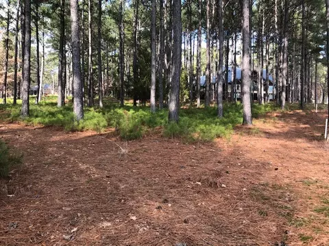 113 Steele Ct, Sunset, SC 29685 photo 10