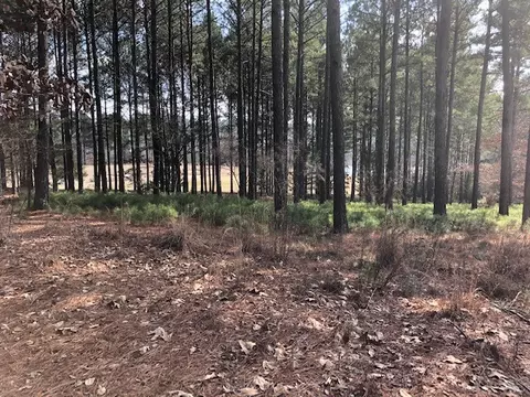 113 Steele Ct, Sunset, SC 29685 photo 4