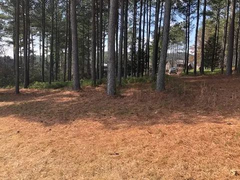 113 Steele Ct, Sunset, SC 29685 photo 7
