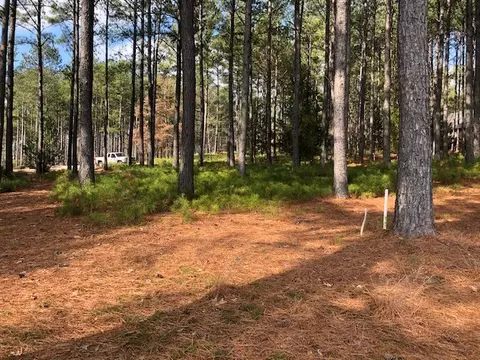 113 Steele Ct, Sunset, SC 29685 photo 8