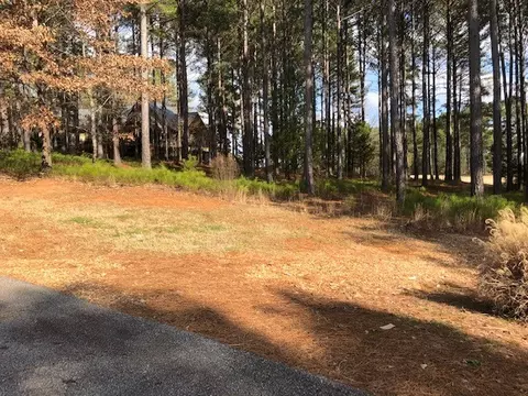 113 Steele Ct, Sunset, SC 29685 photo 16