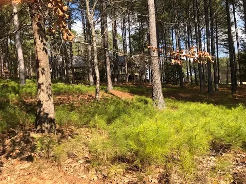 113 Steele Ct, Sunset, SC 29685 photo 14