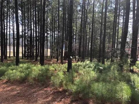 113 Steele Ct, Sunset, SC 29685 photo 5