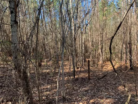 315 Mccullough School Rd, Honea Path, SC 29654 photo 15