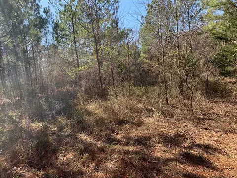 315 Mccullough School Rd, Honea Path, SC 29654 photo 12