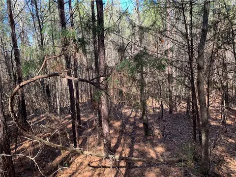 315 Mccullough School Rd, Honea Path, SC 29654 photo 13