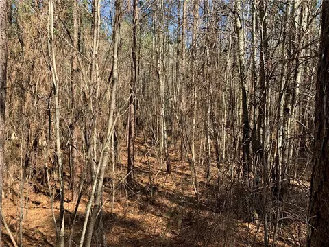 315 Mccullough School Rd, Honea Path, SC 29654 photo 17
