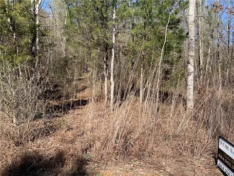 315 Mccullough School Rd, Honea Path, SC 29654 photo 3