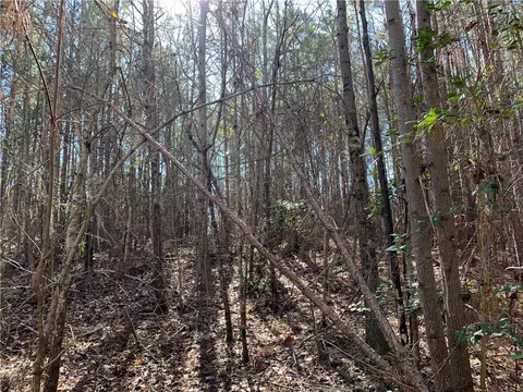 315 Mccullough School Rd, Honea Path, SC 29654 photo 19