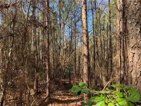 315 Mccullough School Rd, Honea Path, SC 29654 photo 18