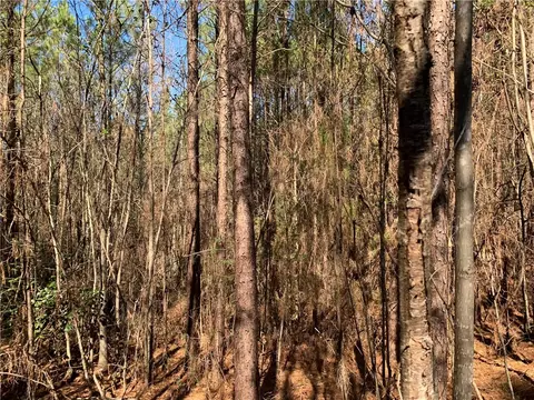 315 Mccullough School Rd, Honea Path, SC 29654 photo 16