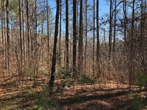 105 Northington Ct, Sunset, SC 29685 photo 4