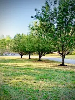 105 Nellstone Ct, Easley, SC 29642 photo 4