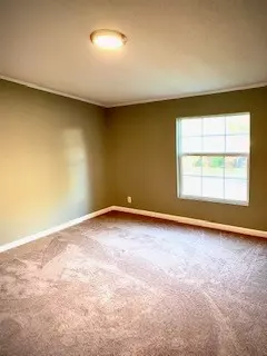 105 Nellstone Ct, Easley, SC 29642 photo 20