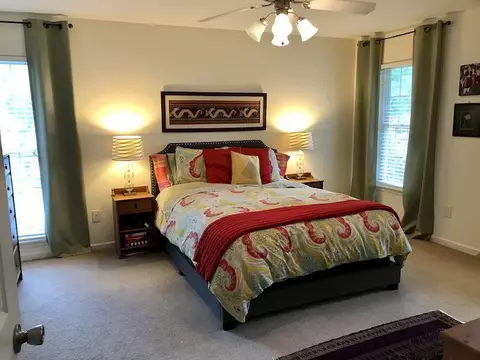 207 Monaco Cir, Clemson, SC 29631 photo 18
