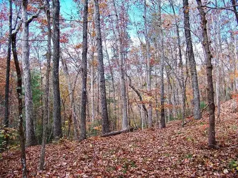 802 Scharlin Dr, Pickens, SC 29671 photo 10