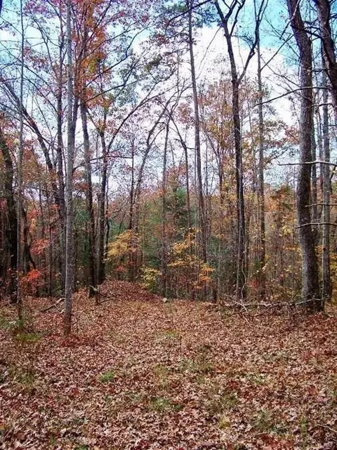 802 Scharlin Dr, Pickens, SC 29671 photo 6