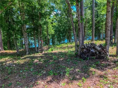 407 Peninsula Rdg, Sunset, SC 29685 photo 11