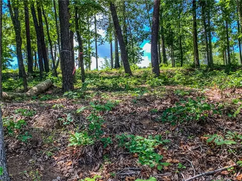 407 Peninsula Rdg, Sunset, SC 29685 photo 10