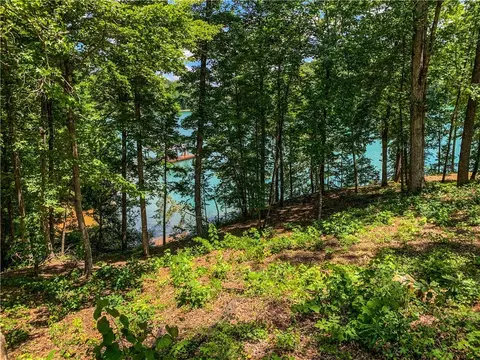 407 Peninsula Rdg, Sunset, SC 29685 photo 7