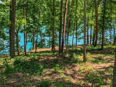407 Peninsula Rdg, Sunset, SC 29685 photo 9
