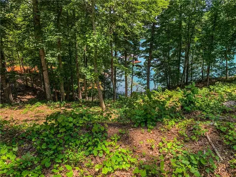 407 Peninsula Rdg, Sunset, SC 29685 photo 6