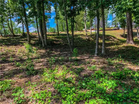 407 Peninsula Rdg, Sunset, SC 29685 photo 4