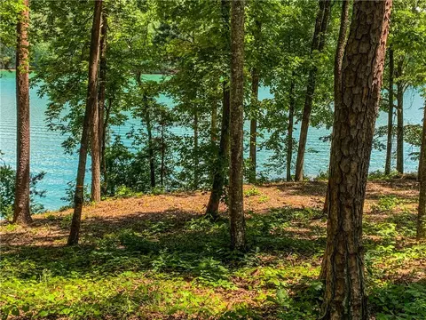 407 Peninsula Rdg, Sunset, SC 29685 photo 12