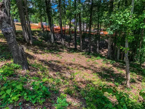 407 Peninsula Rdg, Sunset, SC 29685 photo 8