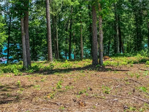 407 Peninsula Rdg, Sunset, SC 29685 photo 13