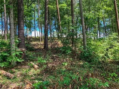 466 Peninsula Rdg, Sunset, SC 29685 photo 4