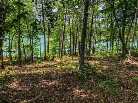 466 Peninsula Rdg, Sunset, SC 29685 photo 5